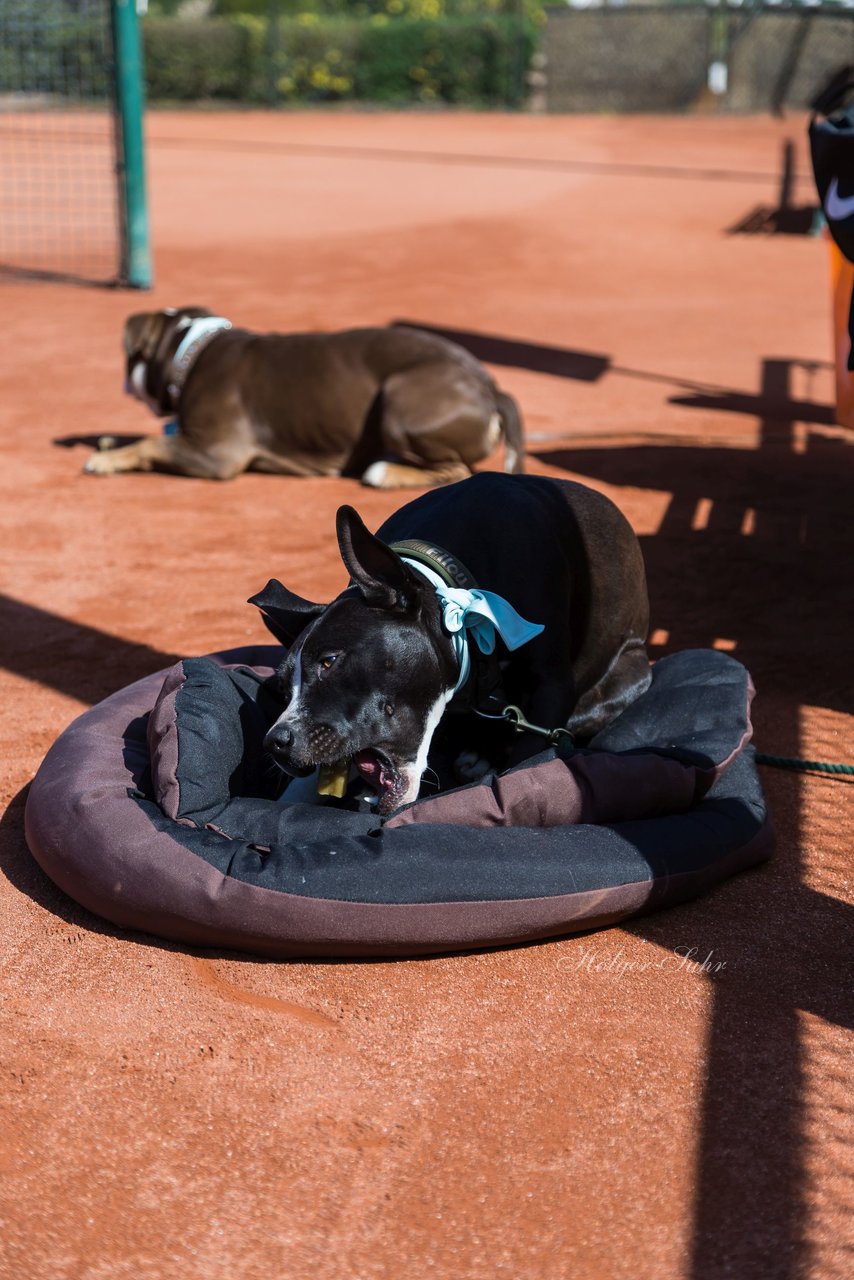 Trainingstag am 20.4.19 12 - Training mit Carina